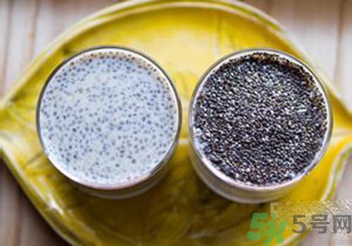 孕婦可以吃奇亞籽嗎？孕婦吃多少奇亞籽比較好？