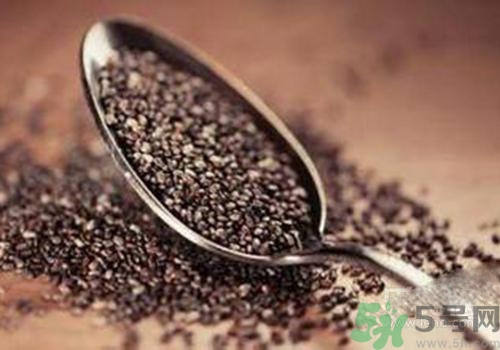 孕婦可以吃奇亞籽嗎？孕婦吃多少奇亞籽比較好？