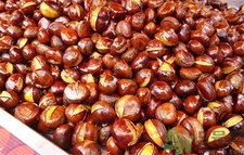 微波爐可以烤板栗嗎?板栗可以用微波爐加熱嗎? 微波爐可以烤板栗嗎?板栗可以用微波爐加熱嗎?