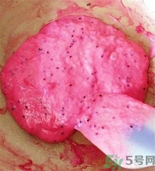 火龍果椰蓉奶凍怎么做?火龍果椰蓉奶凍的做法 火龍果椰蓉奶凍怎么做?火龍果椰蓉奶凍的做法