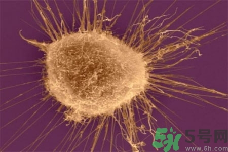 陰道干澀是什么？陰道干澀的危害有什么？