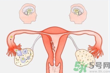 陰道干澀的原因是什么？陰道干澀怎么辦？