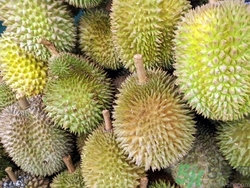 板栗和榴蓮能一起吃嗎?板栗和榴蓮一起吃會怎么樣 板栗和榴蓮能一起吃嗎?板栗和榴蓮一起吃會怎么樣