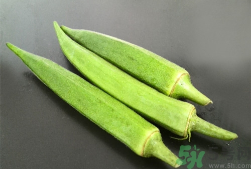 秋葵的熱量高嗎?秋葵的熱量是多少 秋葵的熱量高嗎?秋葵的熱量是多少