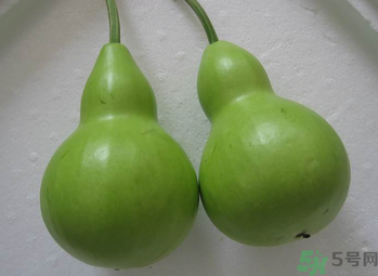 瓠子的營(yíng)養(yǎng)價(jià)值 瓠子的功效和作用 瓠子的營(yíng)養(yǎng)價(jià)值 瓠子的功效和作用