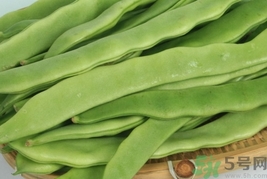 扁豆的營養(yǎng)價值 扁豆的功效與作用及食用方法 扁豆的營養(yǎng)價值 扁豆的功效與作用及食用方法