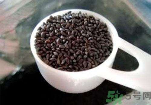 蘭香子的功效作用 蘭香子的營養(yǎng)價值和食用禁忌 蘭香子的功效作用 蘭香子的營養(yǎng)價值和食用禁忌