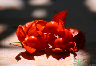 紅姑娘怎么吃？紅姑娘怎么保存？