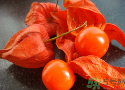 紅姑娘泡水喝可以治什么病？紅姑娘泡水喝的功效與作用