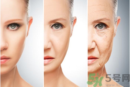 如何預(yù)防衰老？吃什么可以預(yù)防衰老？