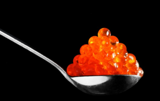  魚子醬好吃嗎？哪個(gè)牌子的魚子醬好？