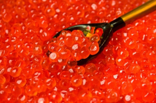  魚子醬好吃嗎？哪個(gè)牌子的魚子醬好？