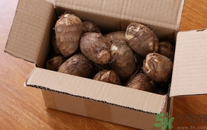 芋頭的營養(yǎng)價(jià)值 芋頭的功效與作用及食用方法 芋頭的營養(yǎng)價(jià)值 芋頭的功效與作用及食用方法