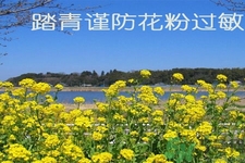 花粉過敏的表現(xiàn)是什么？如何有效的預防花粉過敏？