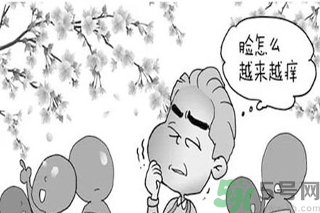 花粉過敏的表現(xiàn)是什么？如何有效的預防花粉過敏？