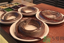 鰻魚的營養(yǎng)價(jià)值 鰻魚的功效與作用 鰻魚的營養(yǎng)價(jià)值 鰻魚的功效與作用