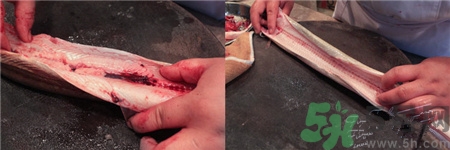 鰻魚的營養(yǎng)價(jià)值 鰻魚的功效與作用 鰻魚的營養(yǎng)價(jià)值 鰻魚的功效與作用