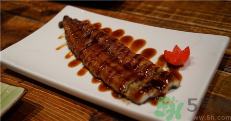 鰻魚的營養(yǎng)價(jià)值 鰻魚的功效與作用 鰻魚的營養(yǎng)價(jià)值 鰻魚的功效與作用