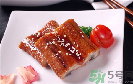 鰻魚的營養(yǎng)價(jià)值 鰻魚的功效與作用 鰻魚的營養(yǎng)價(jià)值 鰻魚的功效與作用