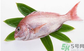 吃魚眼睛對(duì)眼睛有好處嗎？吃什么魚對(duì)眼睛好？