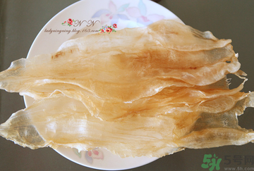 魚(yú)膠是什么？魚(yú)膠的功效與作用？