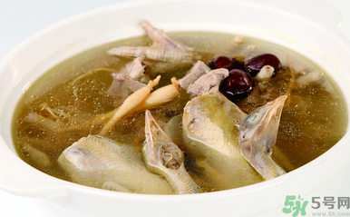 孕婦可以吃魚膠嗎？魚膠怎么燉適合孕婦吃？