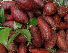 孕婦可以吃蛇皮果嗎？孕婦吃蛇皮果有什么好處？