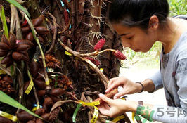 孕婦可以吃蛇皮果嗎？孕婦吃蛇皮果有什么好處？