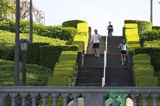 運(yùn)動之前要吃東西嗎?早上運(yùn)動前吃飯還是運(yùn)動后吃飯 運(yùn)動之前要吃東西嗎?早上運(yùn)動前吃飯還是運(yùn)動后吃飯