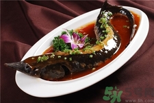 孕婦可以吃中華鱘嗎?孕婦吃中華鱘好嗎 孕婦可以吃中華鱘嗎?孕婦吃中華鱘好嗎