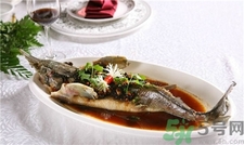 孕婦可以吃中華鱘嗎?孕婦吃中華鱘好嗎 孕婦可以吃中華鱘嗎?孕婦吃中華鱘好嗎