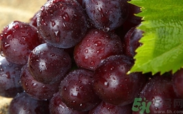 吃葡萄可以喝豆?jié){嗎?葡萄能和豆?jié){一起吃嗎? 吃葡萄可以喝豆?jié){嗎?葡萄能和豆?jié){一起吃嗎?