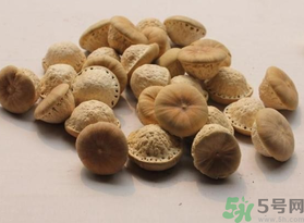 壯陽果可以泡水喝嗎？壯陽果泡水喝的功效與作用