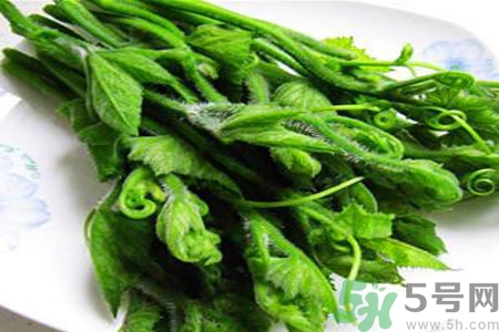 南瓜藤的功效作用有哪些？南瓜藤的食用價(jià)值是什么？