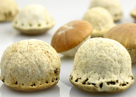 壯陽果怎么泡酒？ 壯陽果泡酒的功效與作用