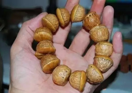 壯陽果怎么泡酒？ 壯陽果泡酒的功效與作用