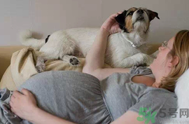 孕婦可以養(yǎng)狗嗎？養(yǎng)狗對(duì)孕婦有影響嗎？