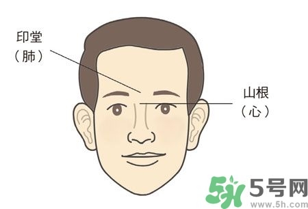 耳垂上有豎紋是怎么回事？山根有橫紋是什么?。?></p><p><strong style=