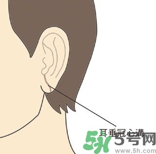 耳垂上有豎紋是怎么回事？山根有橫紋是什么病？