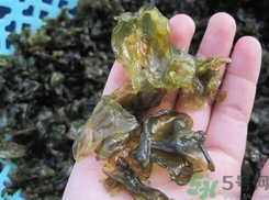 地皮菜是發(fā)物嗎？地皮菜的功效與禁忌