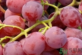 吃提子可以喝牛奶嗎?提子能和牛奶一起吃嗎? 吃提子可以喝牛奶嗎?提子能和牛奶一起吃嗎?