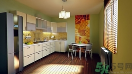 冰箱爆炸致兄妹二人喪命,爆炸的冰箱是什么牌子的? 冰箱爆炸致兄妹二人喪命,爆炸的冰箱是什么牌子的?