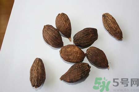 草果是什么？草果的功效與作用