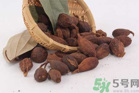 草果是什么？草果的功效與作用