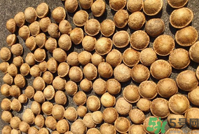 壯陽果怎么吃？壯陽果怎么吃效果最好？