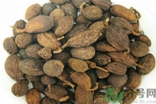 草果是什么？草果的功效與作用