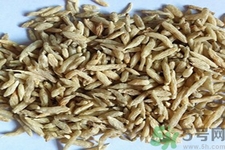 麥冬的營(yíng)養(yǎng)價(jià)值有哪些？麥冬的功效與作用是什么？