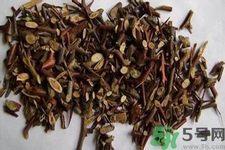 皂角刺的藥用價值是什么？皂角刺的功效與作用有哪些？