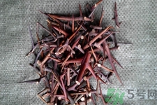 皂角刺的藥用價值是什么？皂角刺的功效與作用有哪些？