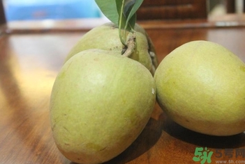 人心果的功效作用 人心果的營養(yǎng)和食用禁忌 人心果的功效作用 人心果的營養(yǎng)和食用禁忌